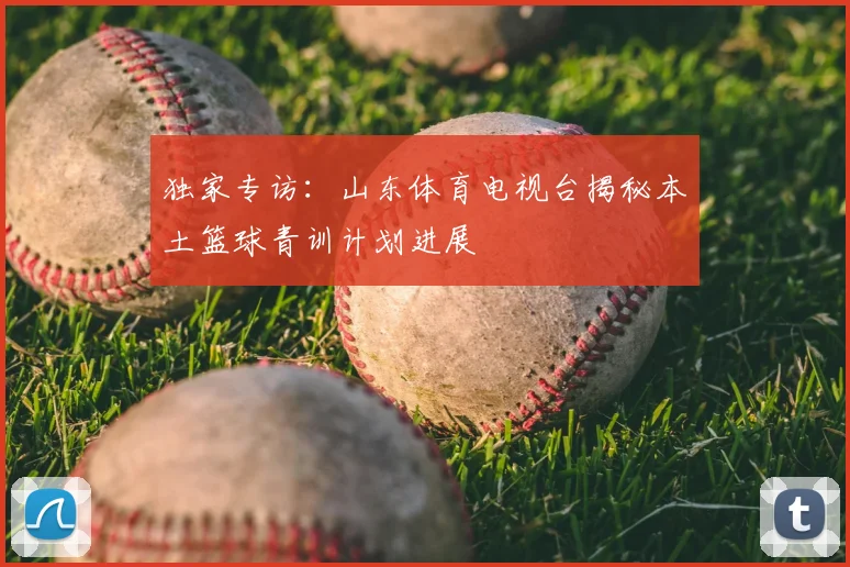 独家专访：山东体育电视台揭秘本土篮球青训计划进展