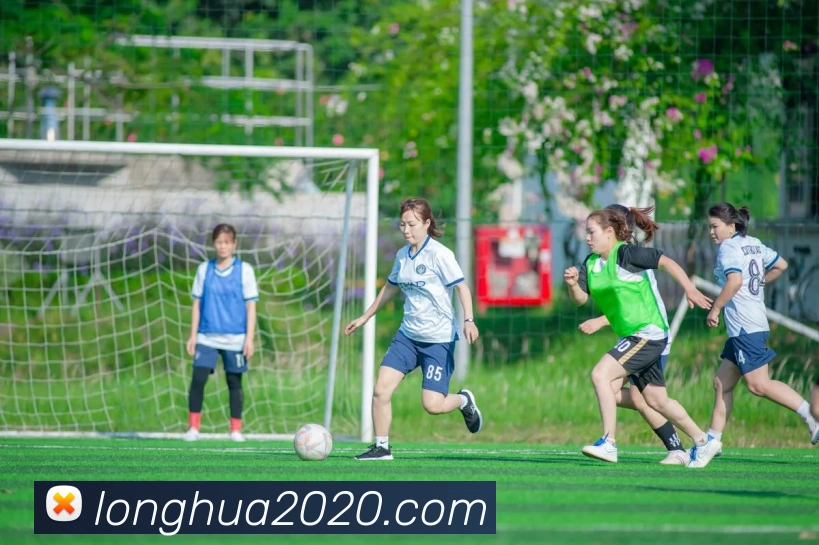 开云app平台入口APP 高清赛事图